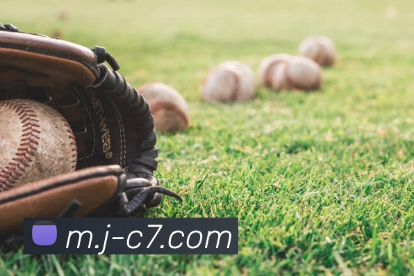 c7娱乐平台生态图